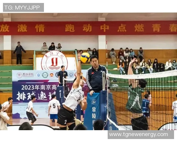 排球专题：聚焦南京排球队的配合