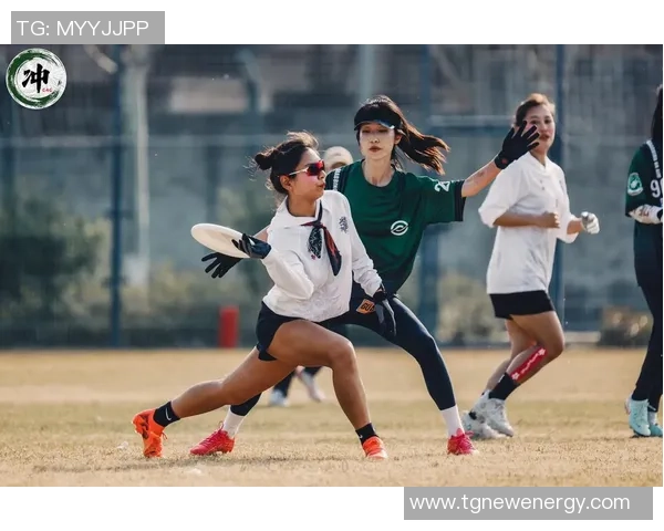 杨军独家：分享飞盘心得